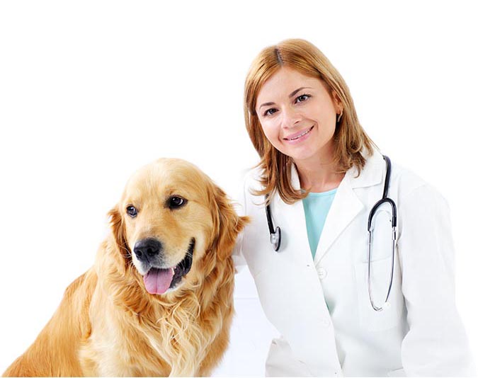 Centre d’urgence vétérinaire sur la RiveNord de Montréal Centre